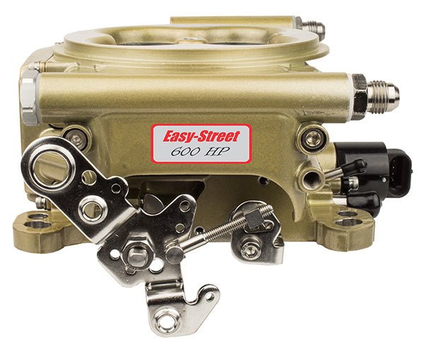 Fuel Injection System-Supports 600 HP