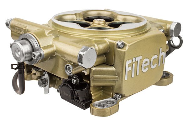 Fuel Injection System-Supports 600 HP