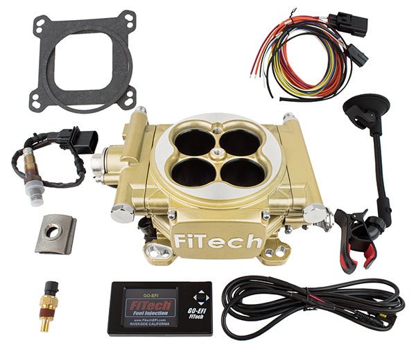 Fuel Injection System-Supports 600 HP