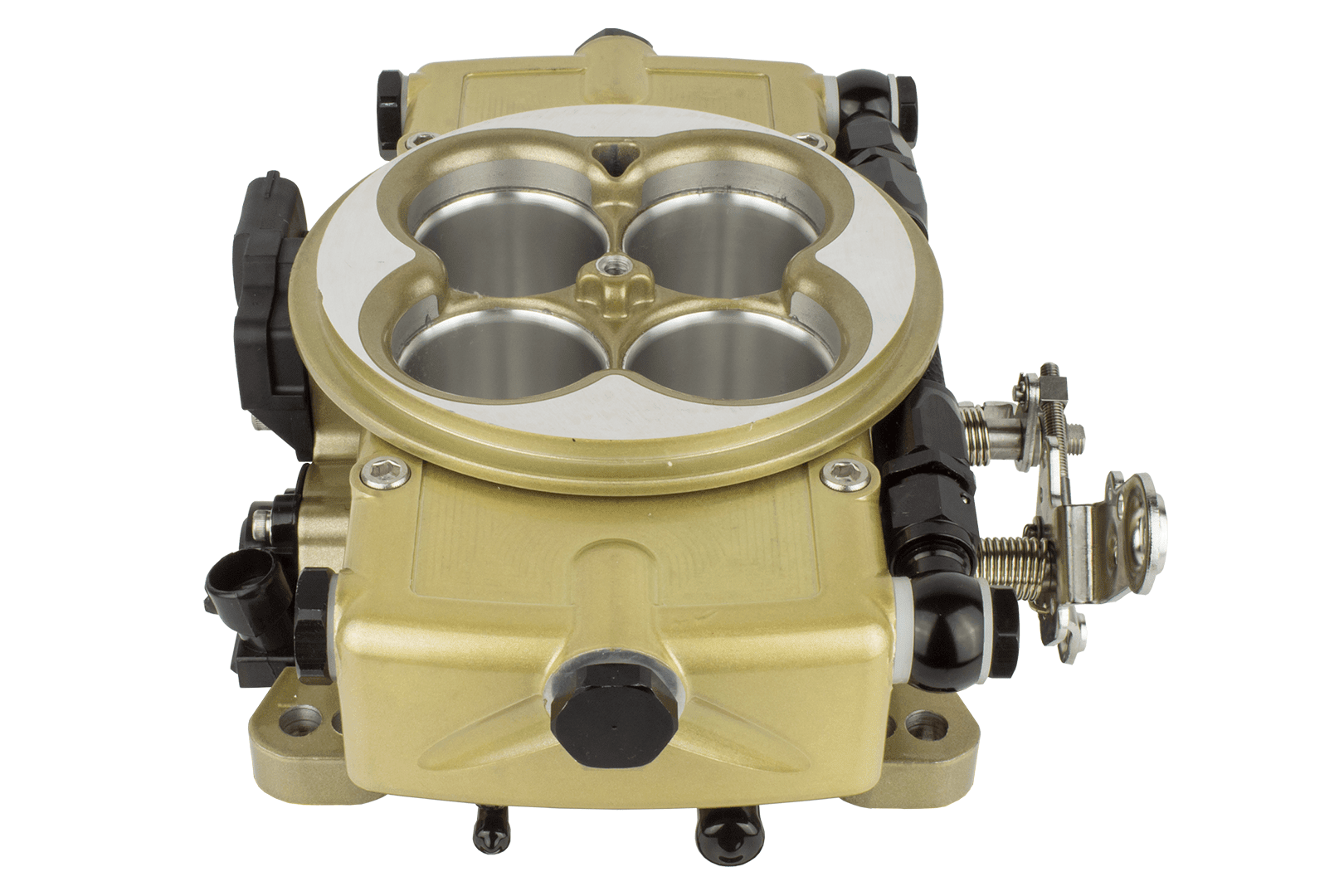 Go EFI Classic System, supports 650 HP