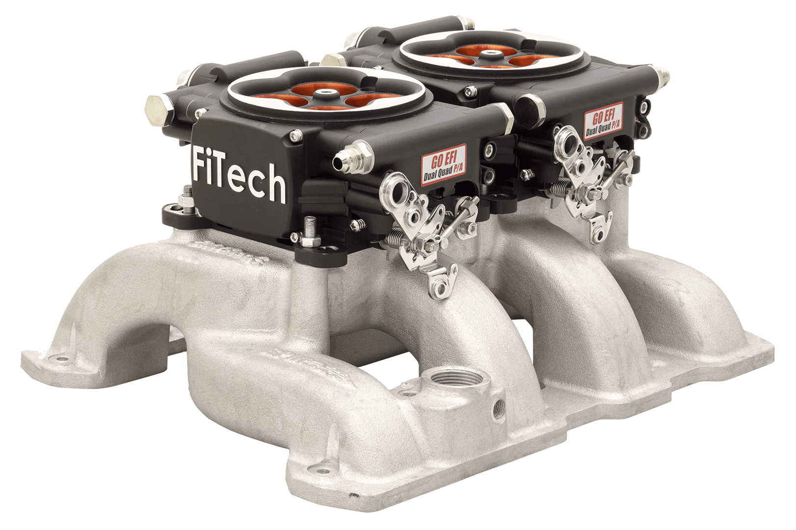 Go EFI 2x4 System, Supports 1200 HP