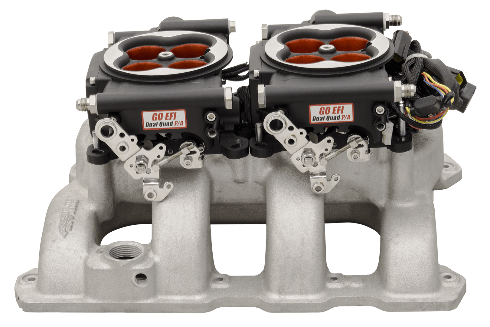 Go EFI 2x4 System, Supports 1200 HP