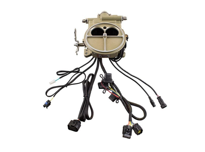 Go EFI 2 Barrel 400 HP Classic Gold EFI System