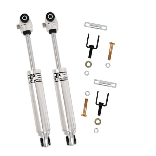 Pontiac Firebird 1981 Shock Absorber Kit, Rear, Single