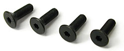 WATER PUMP PULLEY NOSE BOLTS (POL9910)