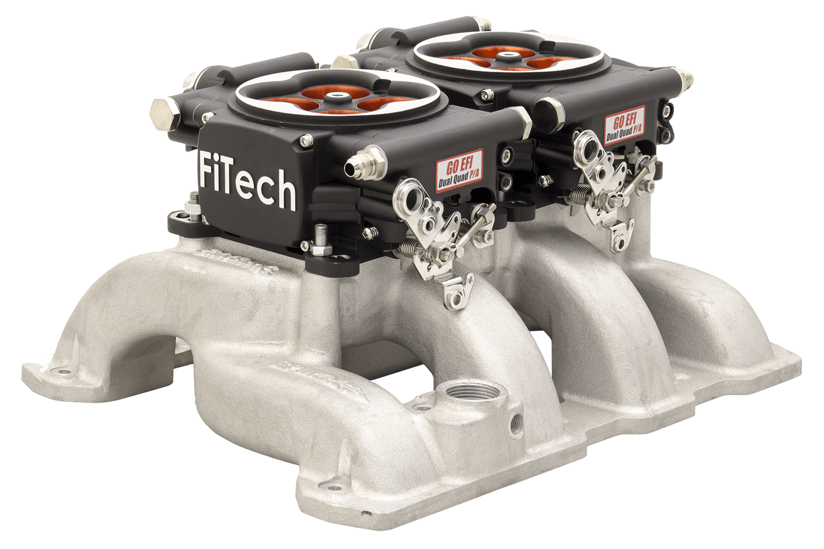 Go EFI 2x4 System, Supports 1200 HP