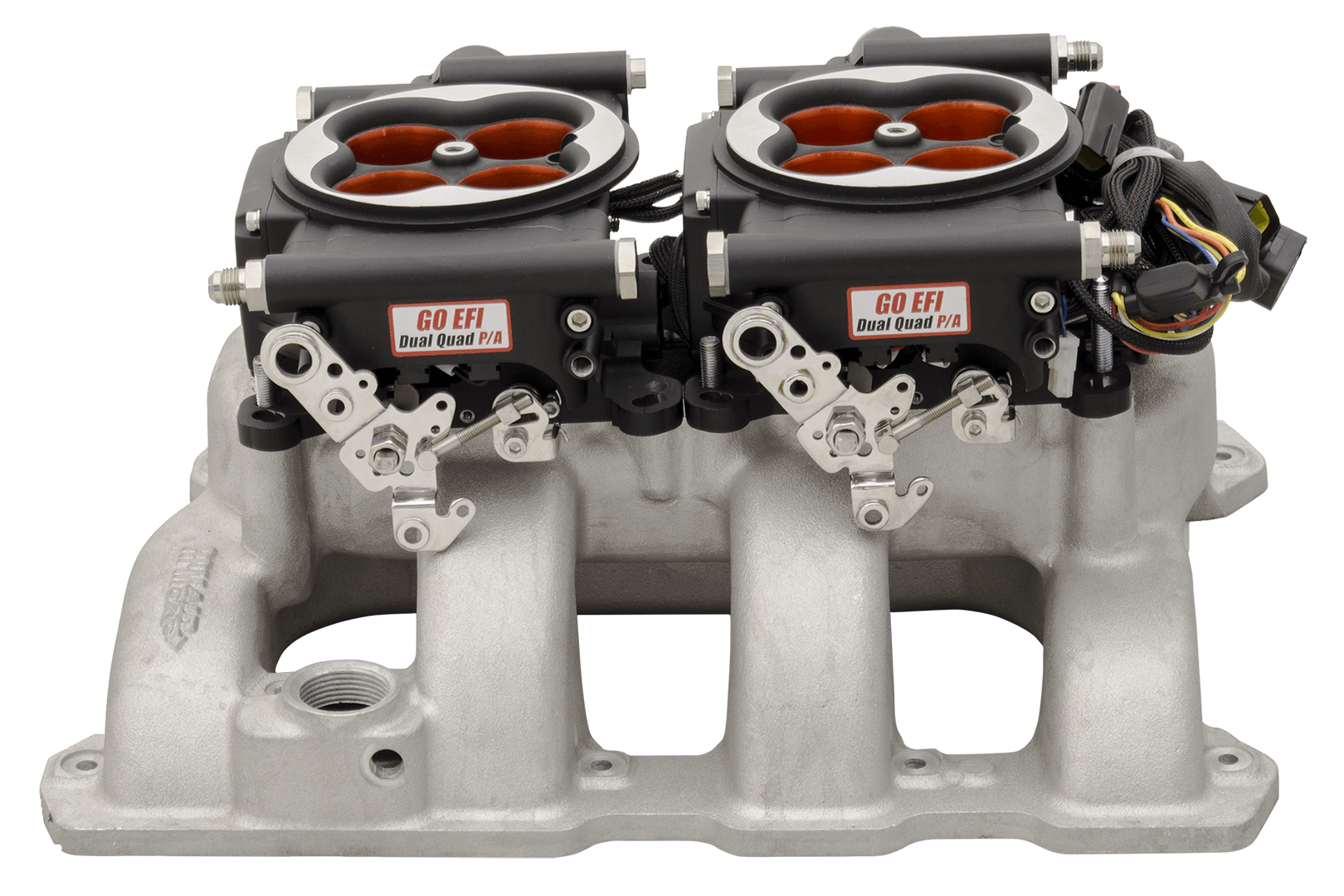 Go EFI 2x4 System, Supports 1200 HP