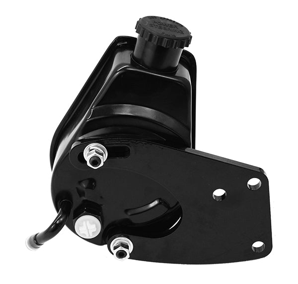 Power Steering Pump Kit, Small Block Ford 289/302/351W