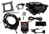 Go EFI Classic Black 650 HP EFI System