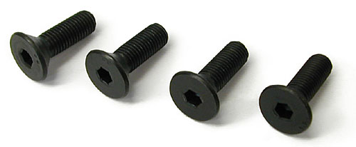 WATER PUMP PULLEY NOSE BOLTS (POL9910)