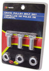 CRANK PULLEY BOLTS, SET (POL4693)